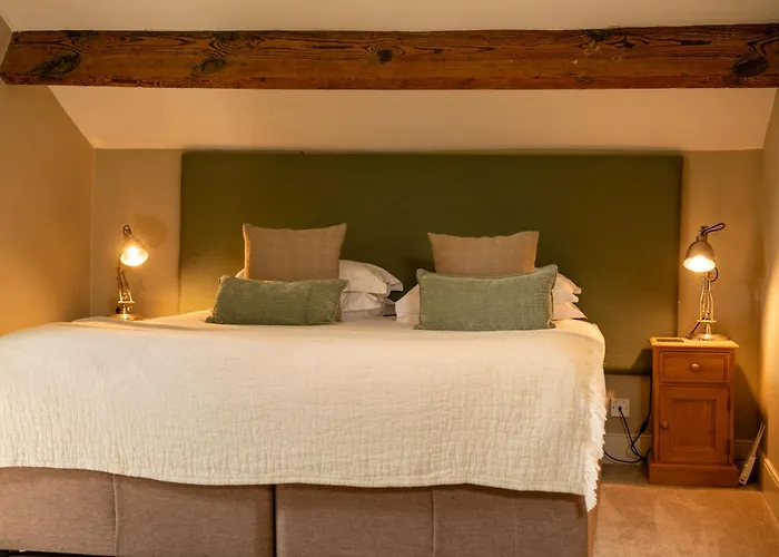 宾馆 斯基普顿教练之家旅馆 2*