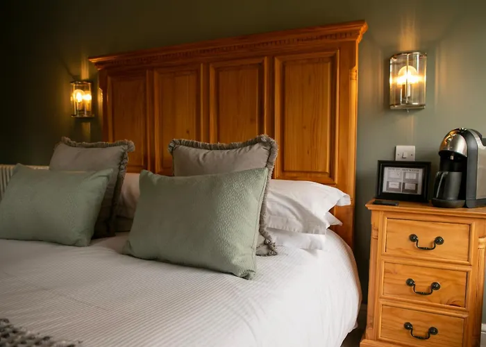 宾馆 斯基普顿教练之家旅馆 2*